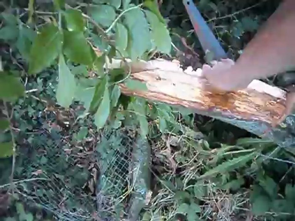MOV02250