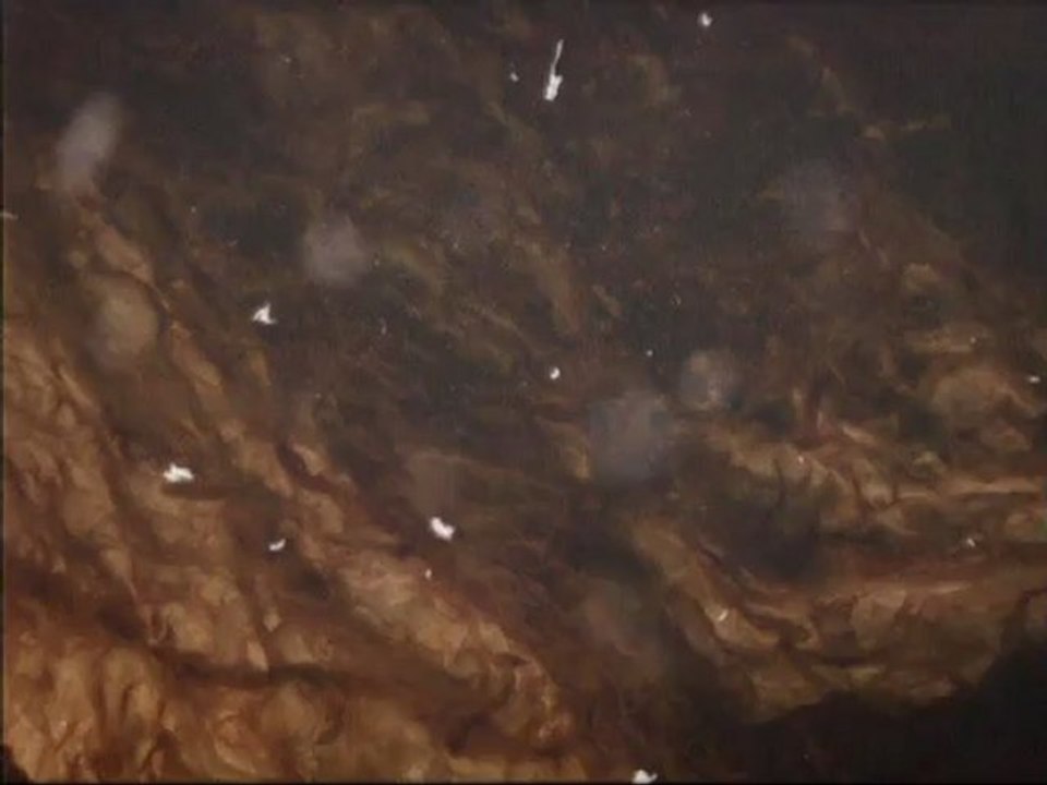 MV-Massive Attack-Teardrop