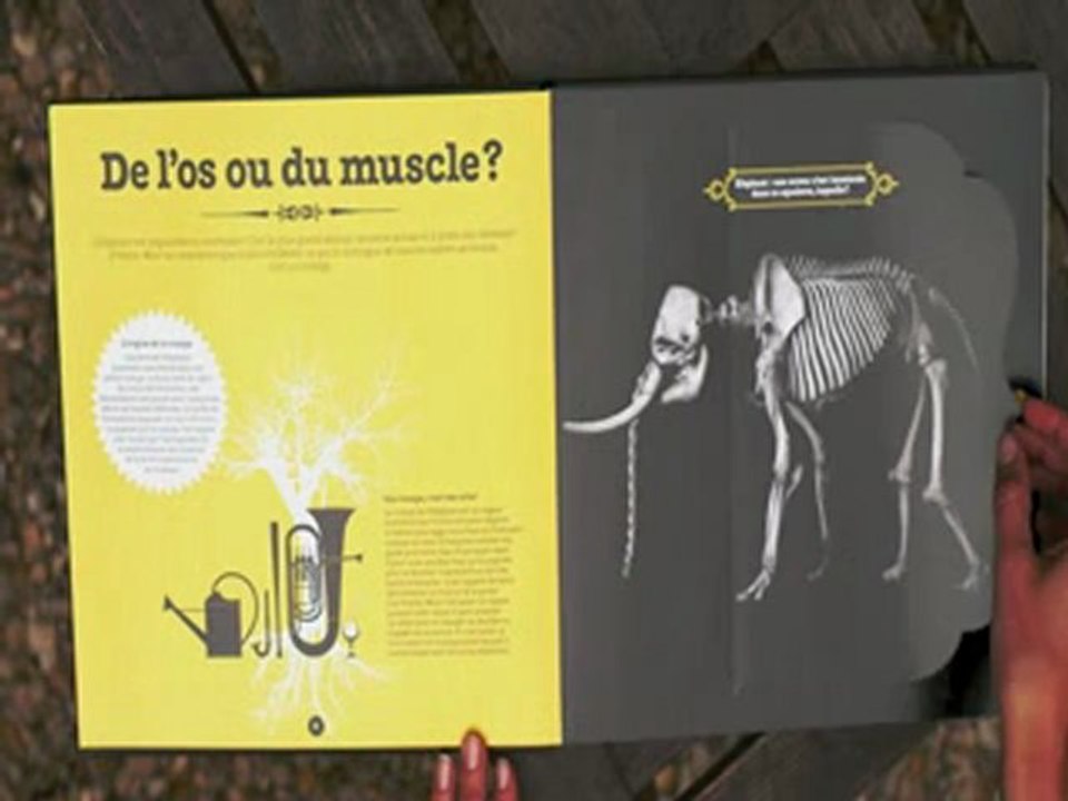 HIstoires de squelettes