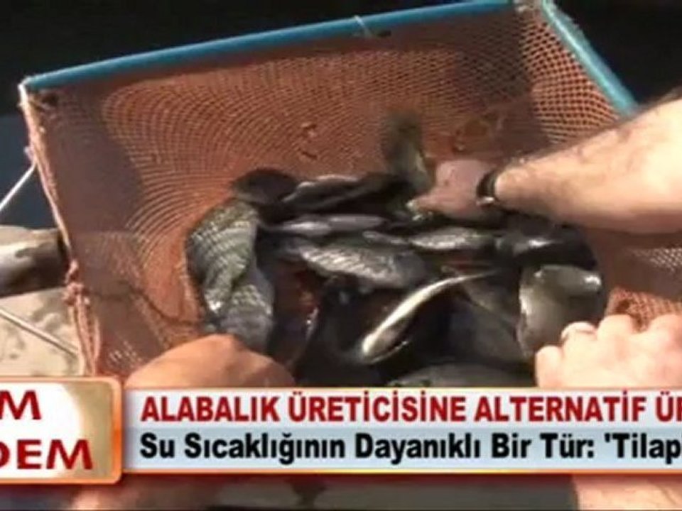 ALABALIK ÜRETİCİSİNE ALTERNATİF ÜRÜN