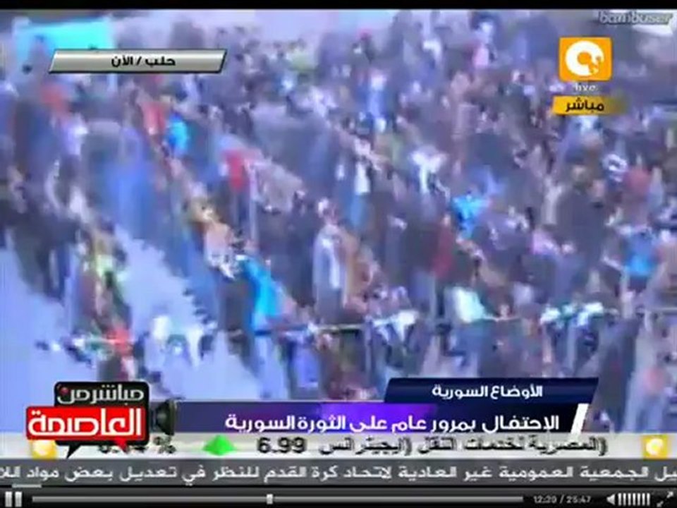 الإحتفال بمرور عام على الثورة السورية