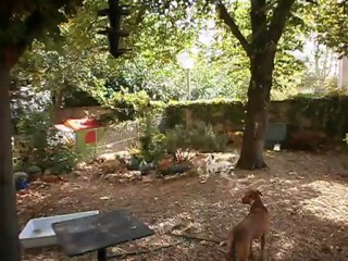 Redden et Gandhi octobre 2012 n° 1