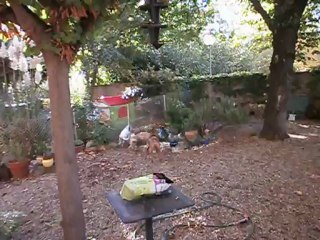 Redden et Gandhi octobre 2012 n° 4