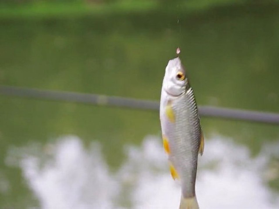 Les pieds dans la pimpine