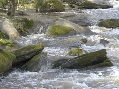 dış mekan fotoğrafçısı