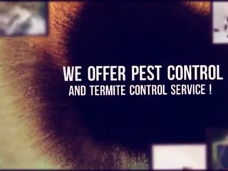 All Bugs Pest Elimination (615) 895-1585