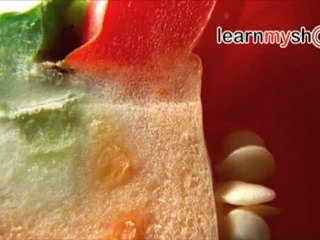 profesyonel fotoğrafçı istanbul,