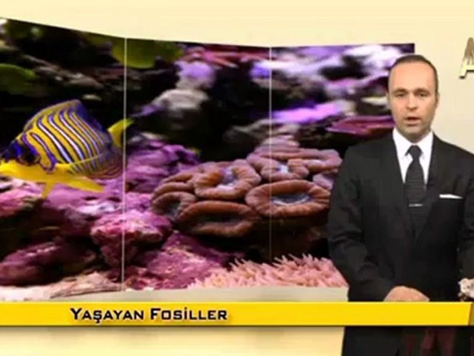 MİLYONLARCA YILDIR DEĞİŞMEYEN MERCANLAR