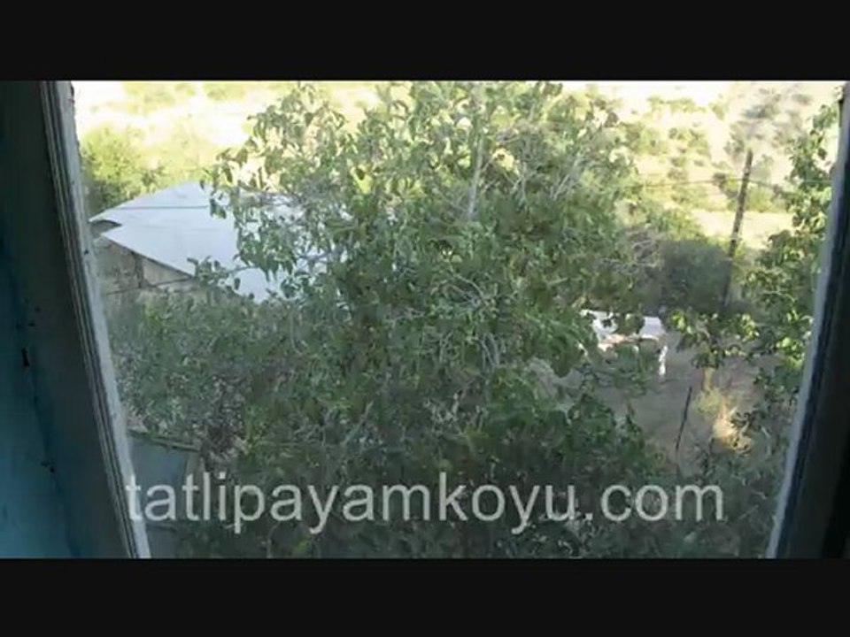 Tatlıpayam bir tarih gibidir. Tıpkı bu kerpiçten yapılmış ve hala ayakta duran evimiz gibi