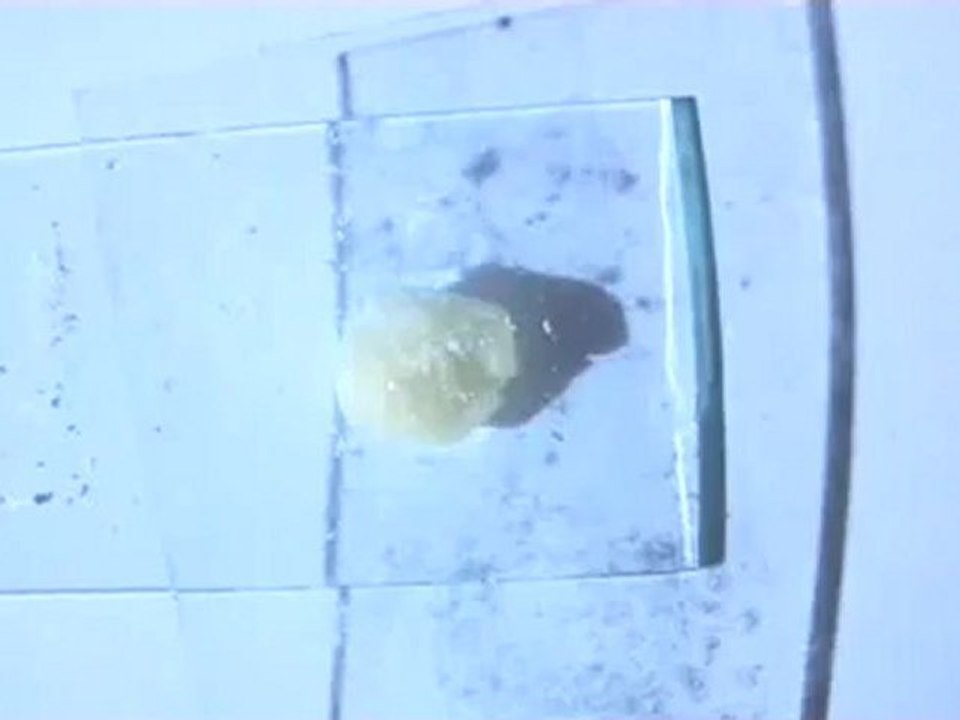 Tribolumineszenz terbiumhexakis(antipyrin)triiodid