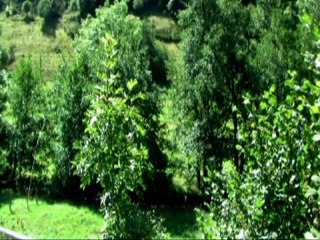 La Bête du Gévaudan Doc