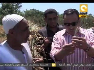 مانشيت: مشروع القمح.. مشروع دولة