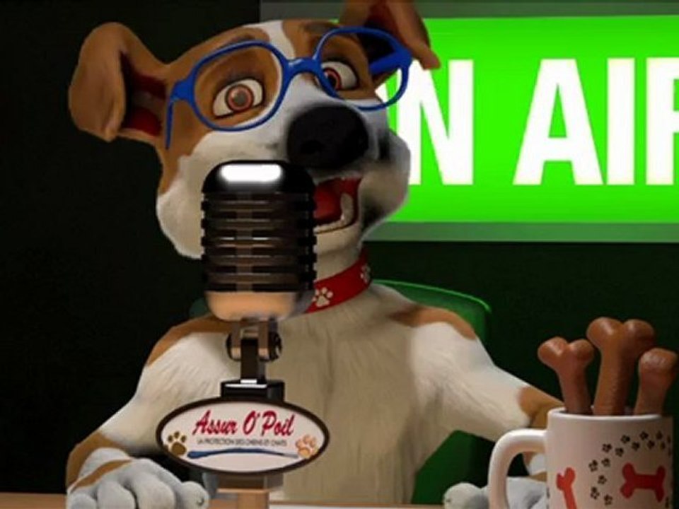 Chien, Chat, Animal de compagnie, Assur O' Poil TV Jack Russel Assurance Sante Animaux