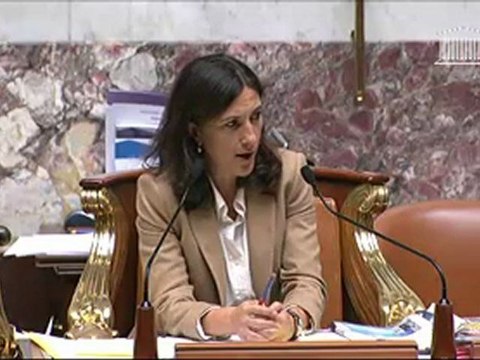 amendements cavaliers PPL brottes 2