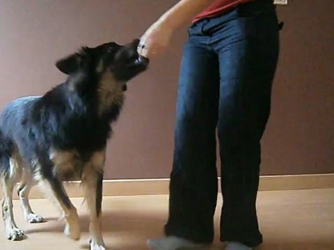 éducation passage entre les jambes 05/10/12