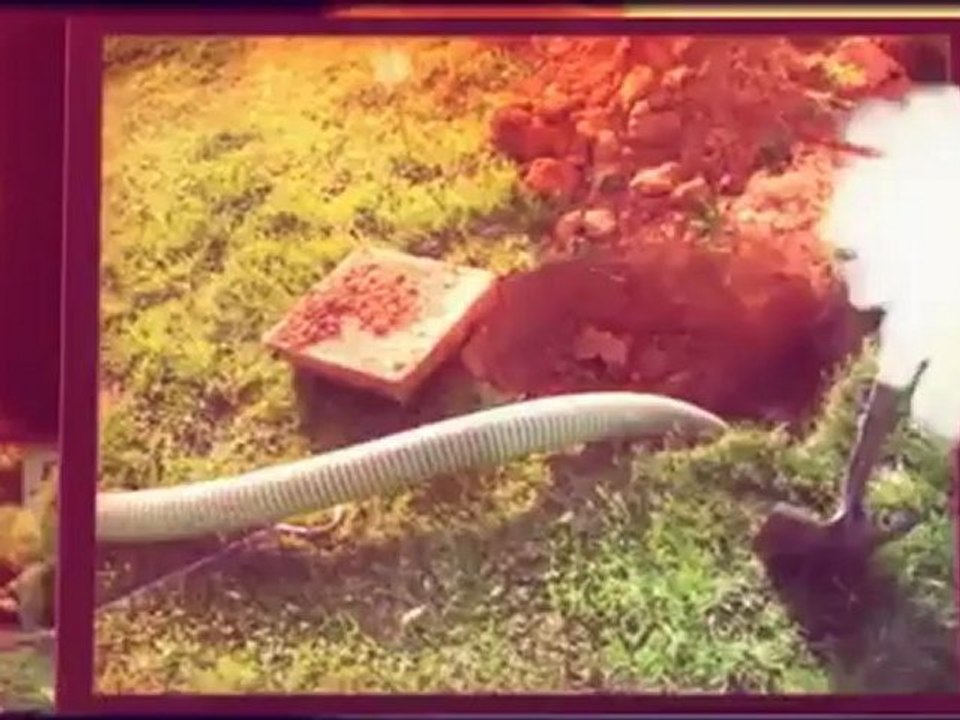 Wayne Septic - (478) 447-3291