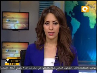 إفتتاح مقهى للقطط في فيينا يتيح لرواده مداعبة القطط