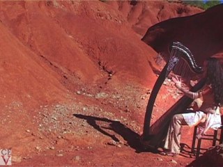 Rencontre avec Ameylia SAAD WU - soprano et harpiste