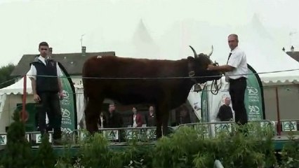 Concours st Mamet 2012 en vidéo!