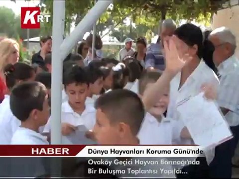 Hayvanları Koruma Günü’nde Ovaköy Geçici Hayvan Barınağı`nda bir buluşma toplantısı yapıldı.