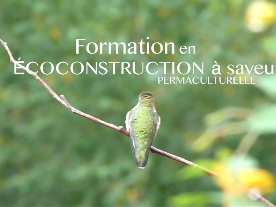 Stage en écoconstruction Chertsey Québec Permaculture Bernard Alonso Août 2012