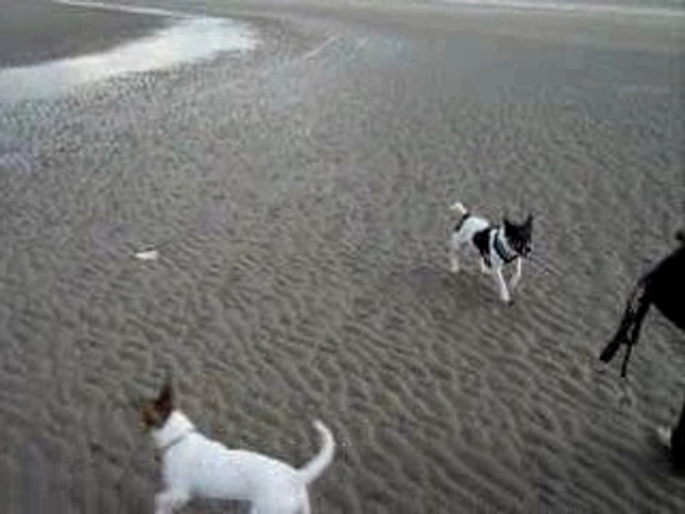 Jackplage a dunkerque