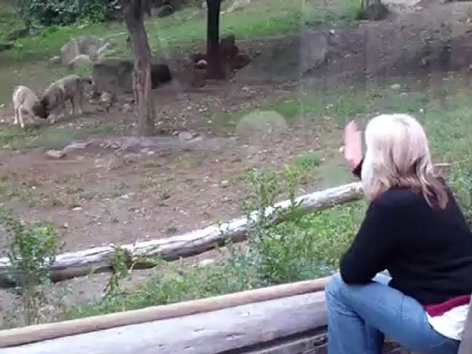 parc des pyrenées argeles gazost