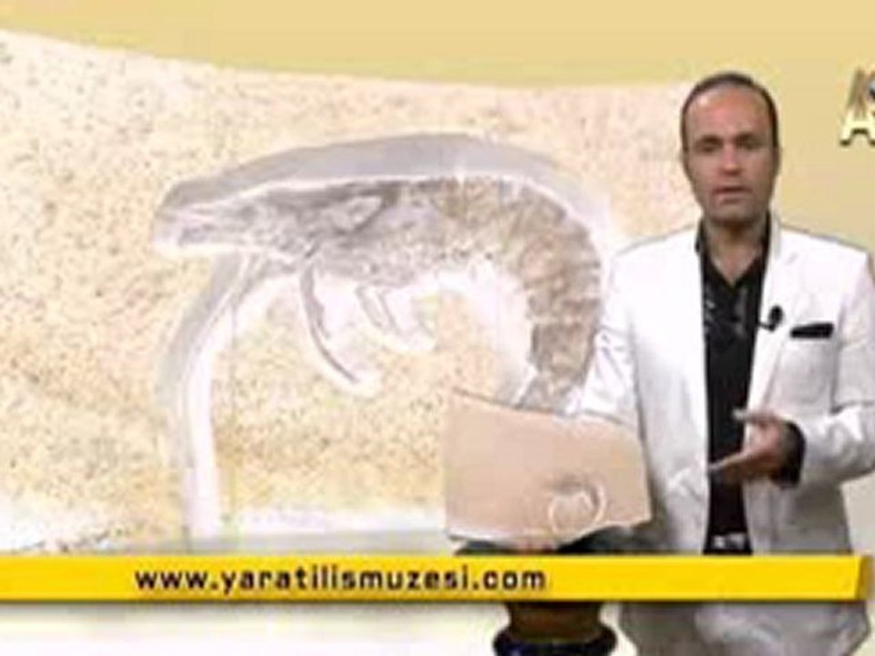 MİLYONLARCA YILDIR DEĞİŞMEYEN KARİDESLER