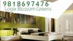 Logix Blossom Greens 9818697476 | Logix Blossom Green Noida Sector 143