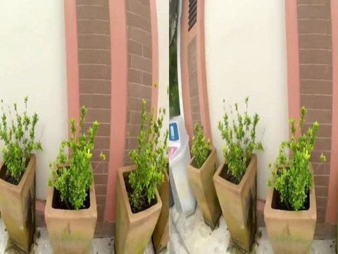 GoPro Goes Pro: ProTune @ 35Mbps