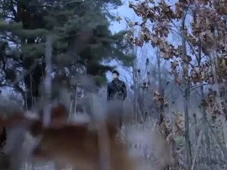 Yêu - Ưng Hoàng Phúc