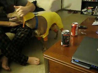 Vincent The Duck part3