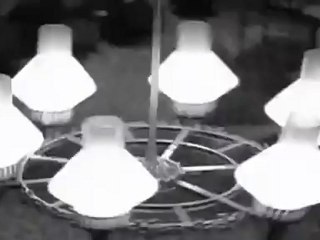 Paa pa  Pa Nee (Malligaia Poo)