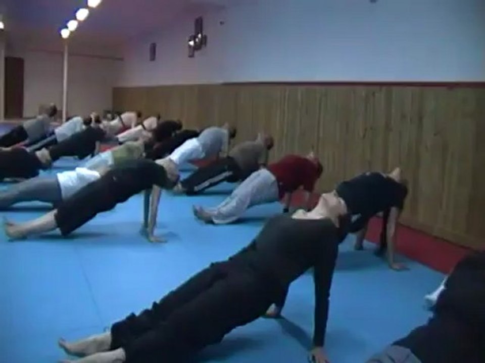 Jujitsu Rollin Philippe