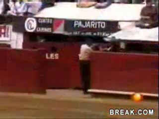 break-dot-com-bull-fan-attack