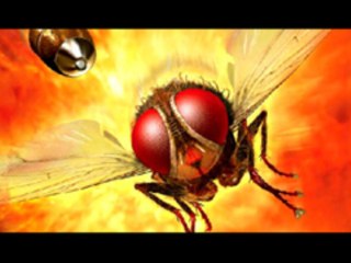 Unbelievable Visual Effects in 'Makkhi' – A Must-See Bollywood Blockbuster 🎬