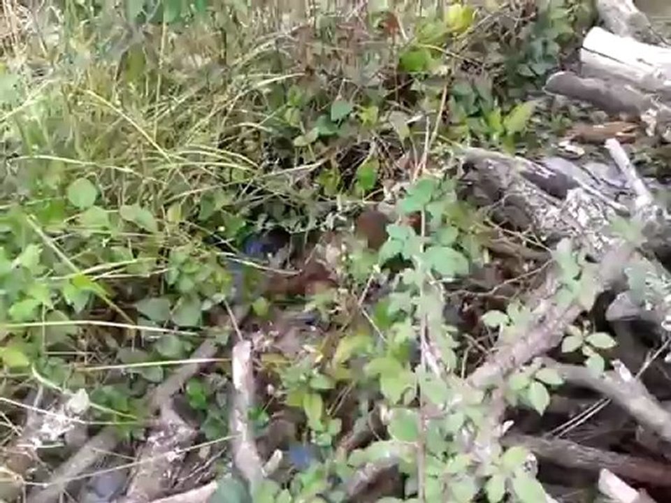 video-2012-10-06-12-12-27
