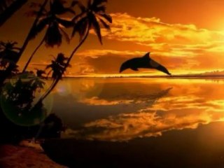 Toute une vie sans toi chanté (en francais) par Fabrice de L'Oise