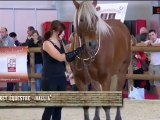 Cabaret Equestre 5– Equid Espaces 2012 – Rochexpo TV