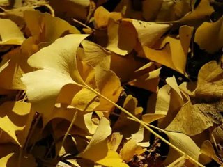 Luke Tamu Kenya-Travel to Kenya