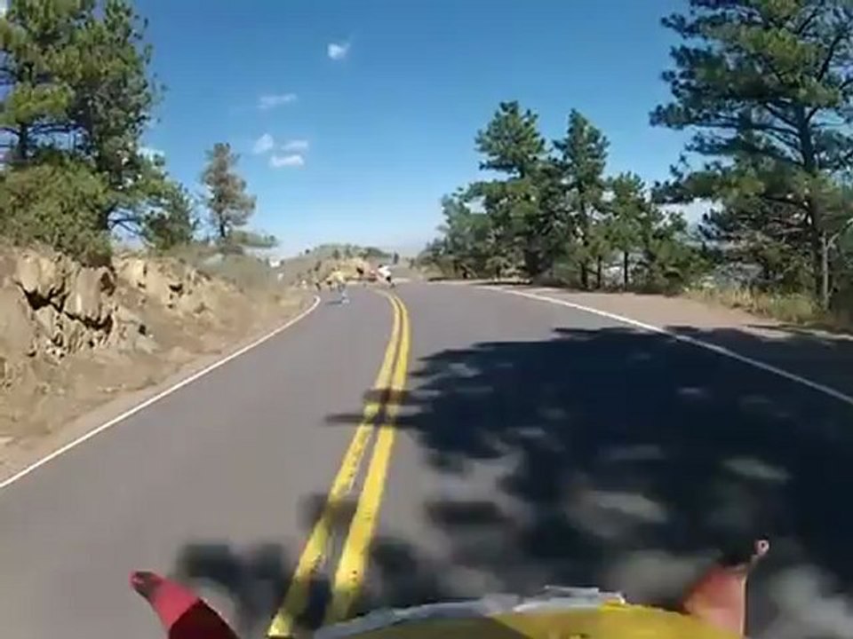 Crazy Deer Attacks The Longboard Skater