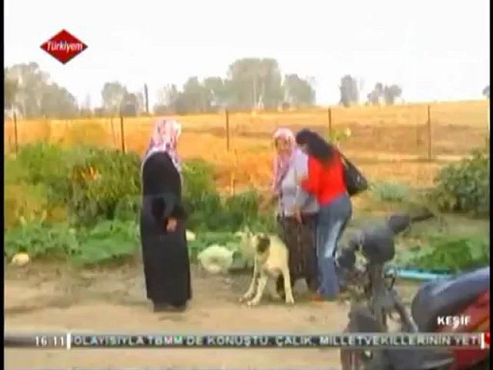 örtülüce-köyü-biga-çanakkale-tarımsal kalkınmakooperatifi-keşiftv-türkiyemtv