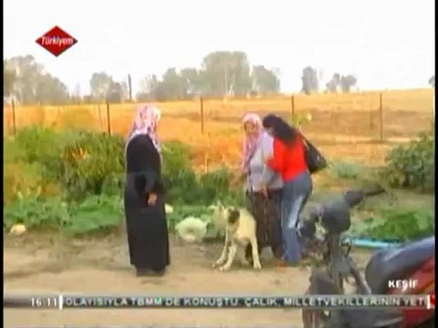 örtülüce-köyü-biga-çanakkale-tarımsal kalkınmakooperatifi-keşiftv-türkiyemtv