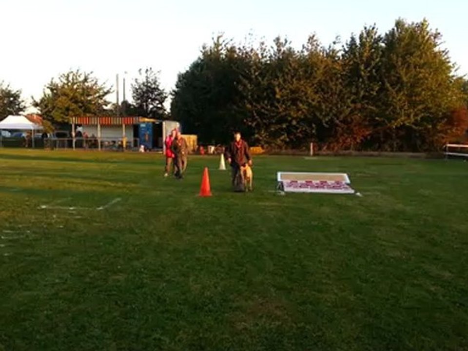 Suite muselée brevet Gibb's