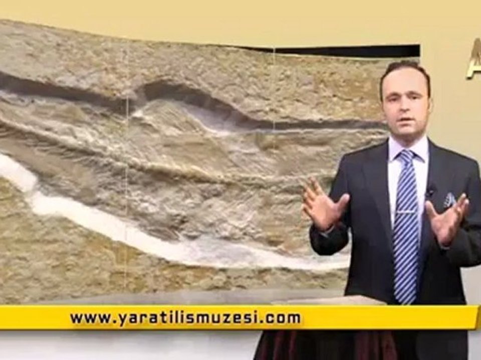 MİLYONLARCA YILDIR DEĞİŞMEYEN KADIN BALIKLARI