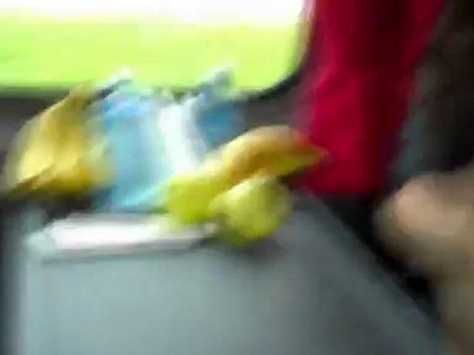 Lena auf dem Weg nach Malmö