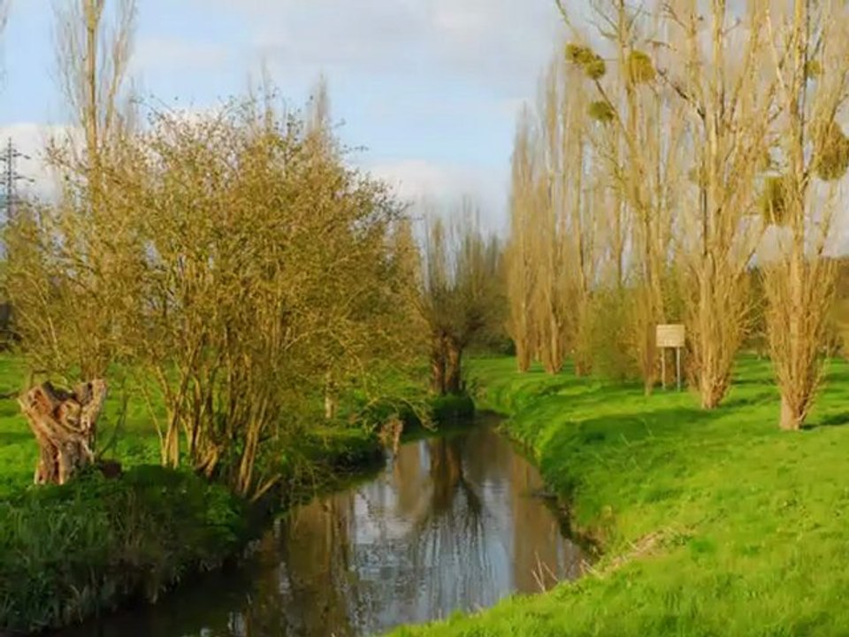 Villecresnes et le Plateau Briard