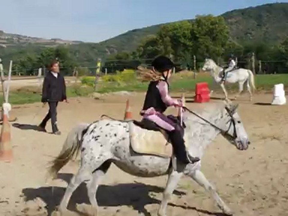 Galop avec Cookie