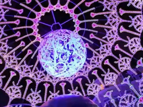 Les plasticiens dans les rues de Lille