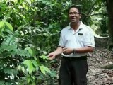 Pangkor Laut Wildlife - Luxurious Magazine special luxury travel episode